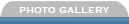 Galeria Fotográfica